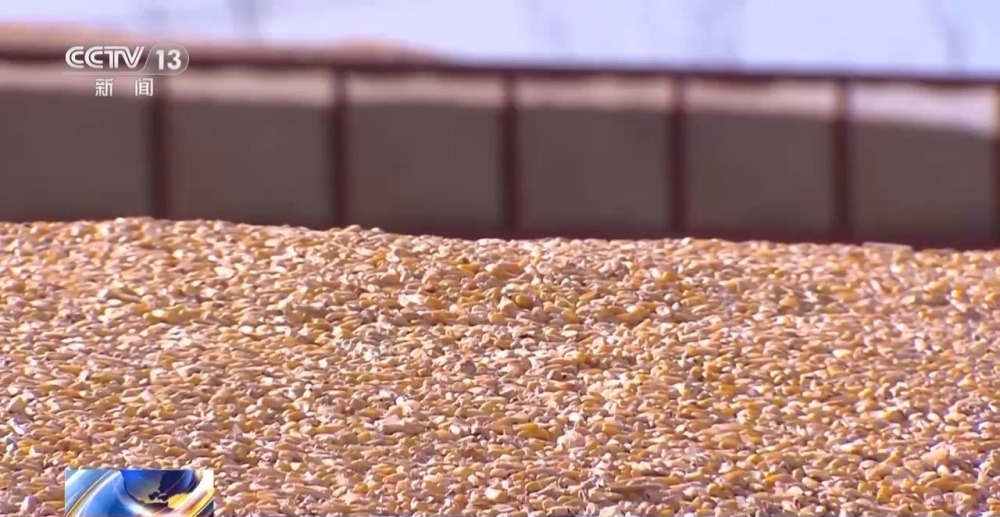 1700807810936576.jpg 20231124_143531_000.jpg