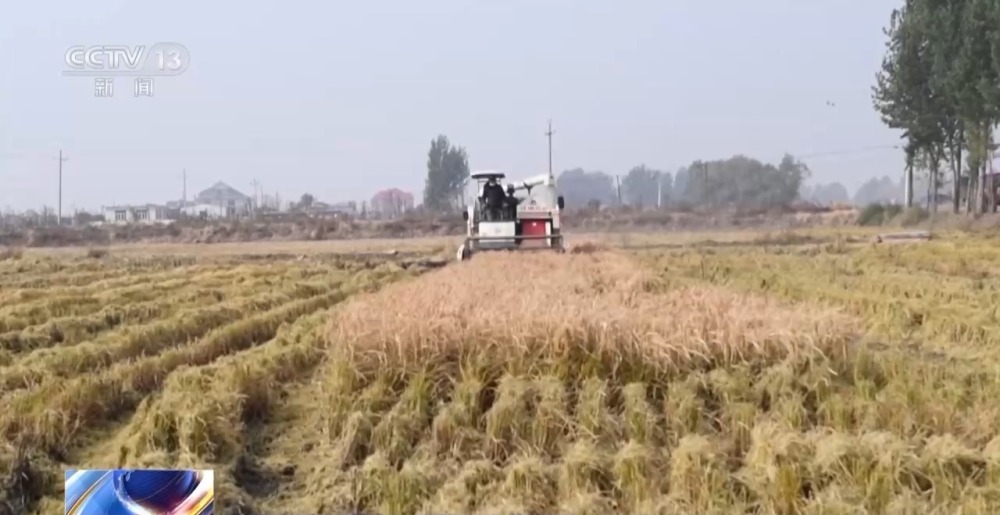 1700809984370103.jpg 20231124_143531_009.jpg