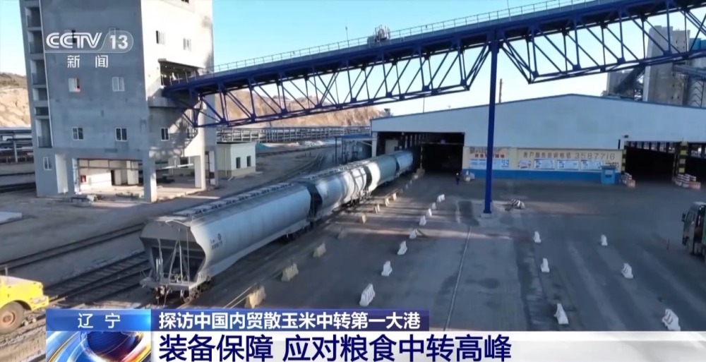 1700810140414613.jpg 20231124_143531_011.jpg